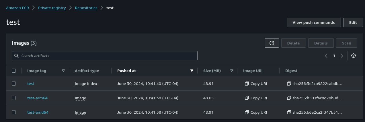 Image is available in ECR