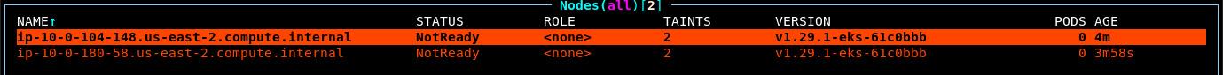 k9s showing node successfully joining the cluster