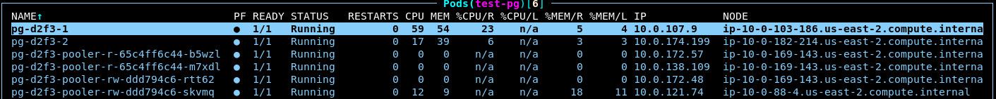 PostgreSQL pods running in the cluster