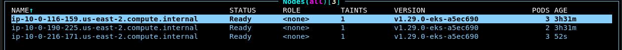 k9s showing node successfully joining the cluster