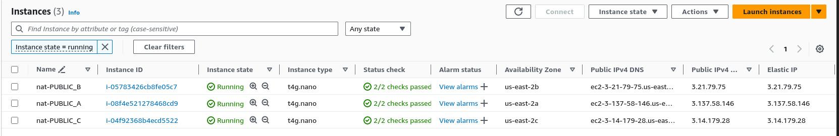 NAT nodes viewed from the AWS web console