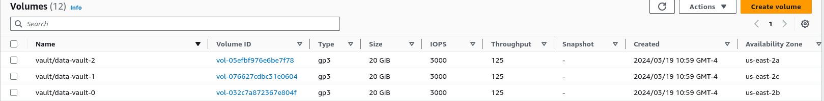 Vault EBS volumes