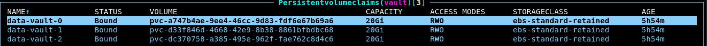 Vault persistent volume claims